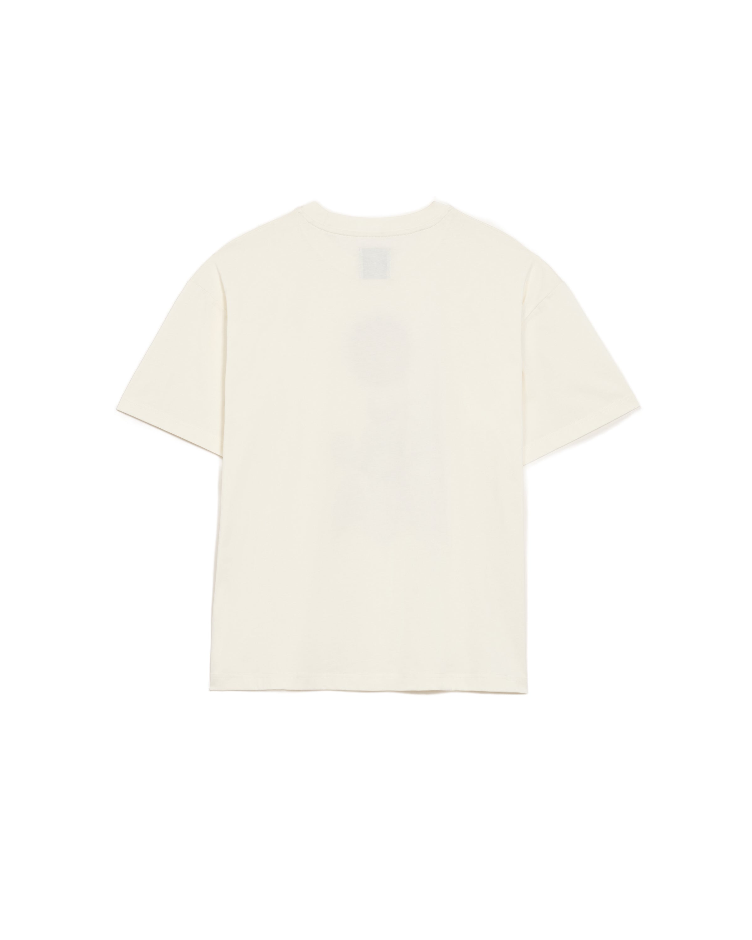 ALCHEMICAL DRAGON T-SHIRT